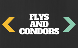 FLYS AND CONDORS